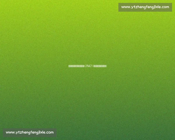 热刺纽卡首尔季前赛燃爆 2NE1 中场热舞掀怀旧风暴