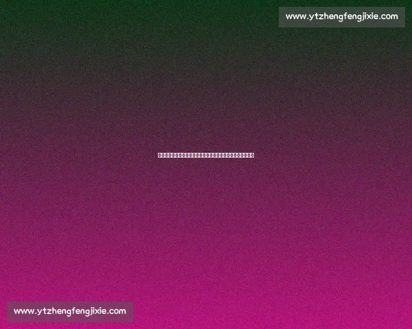 美式锋芒毕露!赵维伦书豪训练营集锦:技巧与蜕变的双重奏鸣