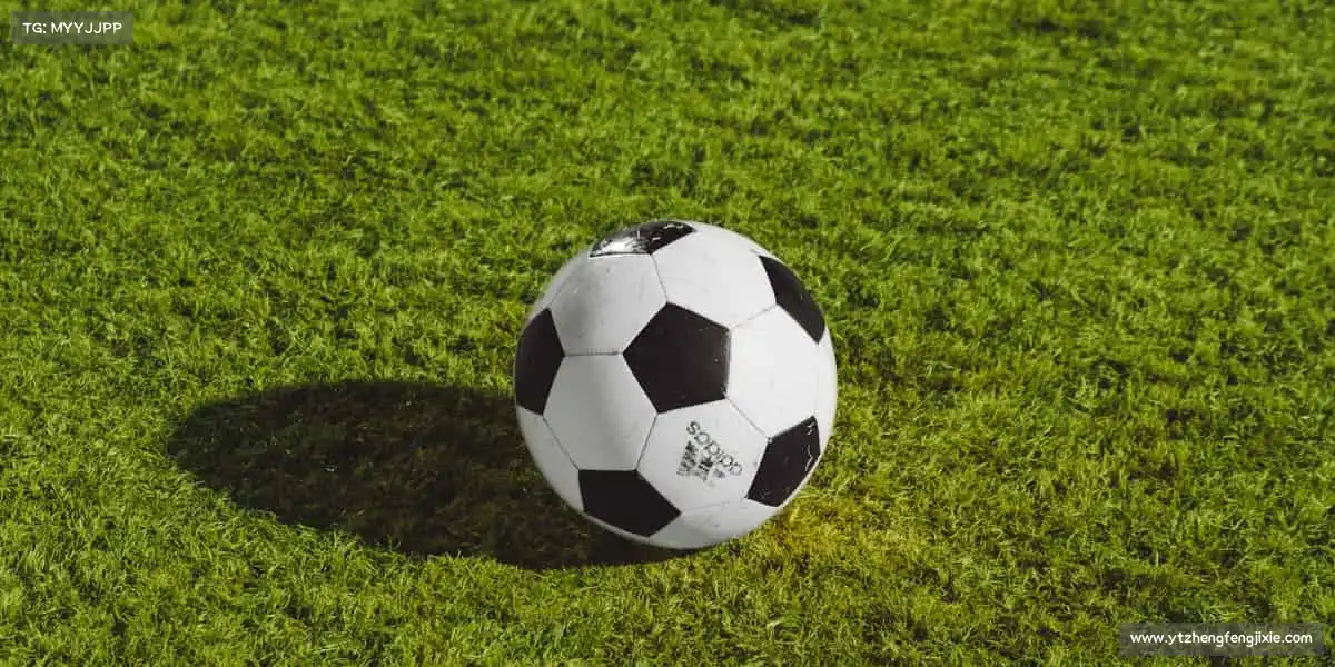 米兰官网🏈团队协作，火力全开！这里有热血赛事，更有兄弟并肩！